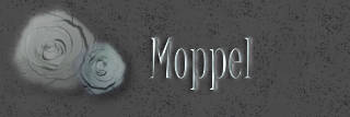 Moppel